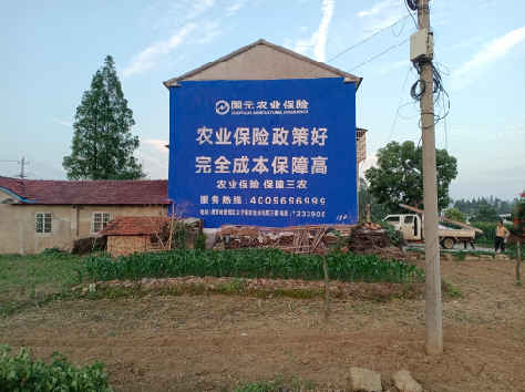 应城墙体广告的优劣势你知道吗？